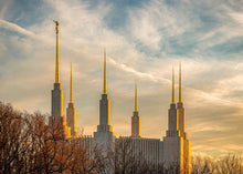 Load image into Gallery viewer, Washington DC Golden Hour