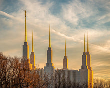 Load image into Gallery viewer, Washington DC Golden Hour