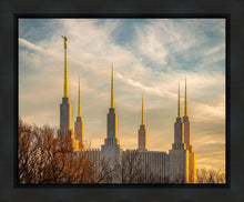 Load image into Gallery viewer, Washington DC Golden Hour