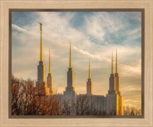 Load image into Gallery viewer, Washington DC Golden Hour