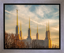 Load image into Gallery viewer, Washington DC Golden Hour
