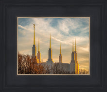 Load image into Gallery viewer, Washington DC Golden Hour