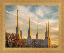 Load image into Gallery viewer, Washington DC Golden Hour