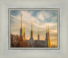 Load image into Gallery viewer, Washington DC Golden Hour