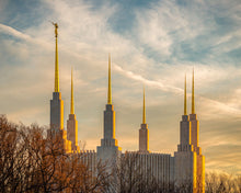 Load image into Gallery viewer, Washington DC Golden Hour