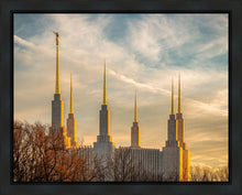 Load image into Gallery viewer, Washington DC Golden Hour