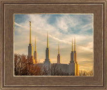 Load image into Gallery viewer, Washington DC Golden Hour