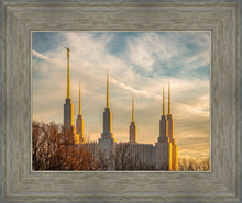 Load image into Gallery viewer, Washington DC Golden Hour