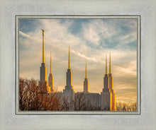 Load image into Gallery viewer, Washington DC Golden Hour