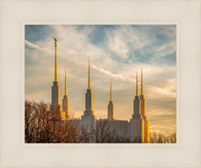 Load image into Gallery viewer, Washington DC Golden Hour