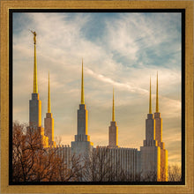 Load image into Gallery viewer, Washington DC Golden Hour