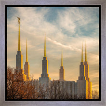 Load image into Gallery viewer, Washington DC Golden Hour