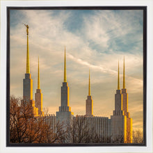 Load image into Gallery viewer, Washington DC Golden Hour
