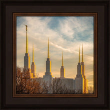 Load image into Gallery viewer, Washington DC Golden Hour