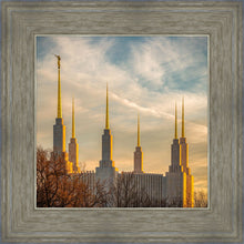 Load image into Gallery viewer, Washington DC Golden Hour