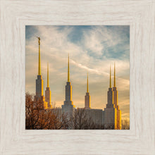 Load image into Gallery viewer, Washington DC Golden Hour