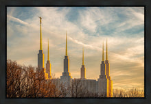Load image into Gallery viewer, Washington DC Golden Hour
