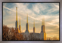 Load image into Gallery viewer, Washington DC Golden Hour