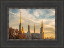 Load image into Gallery viewer, Washington DC Golden Hour