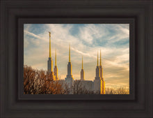 Load image into Gallery viewer, Washington DC Golden Hour