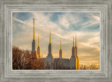 Load image into Gallery viewer, Washington DC Golden Hour