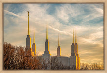 Load image into Gallery viewer, Washington DC Golden Hour