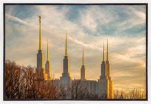 Load image into Gallery viewer, Washington DC Golden Hour