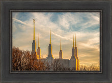 Load image into Gallery viewer, Washington DC Golden Hour