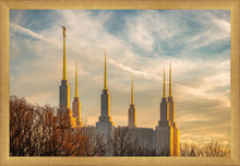 Load image into Gallery viewer, Washington DC Golden Hour