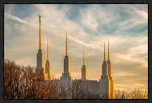 Load image into Gallery viewer, Washington DC Golden Hour