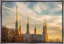 Load image into Gallery viewer, Washington DC Golden Hour