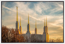 Load image into Gallery viewer, Washington DC Golden Hour