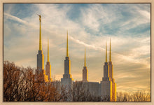 Load image into Gallery viewer, Washington DC Golden Hour