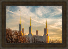 Load image into Gallery viewer, Washington DC Golden Hour