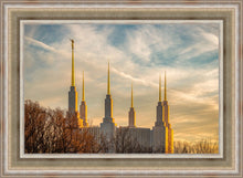 Load image into Gallery viewer, Washington DC Golden Hour