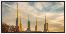 Load image into Gallery viewer, Washington DC Golden Hour