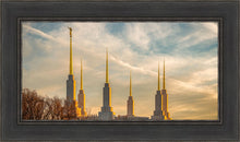 Load image into Gallery viewer, Washington DC Golden Hour