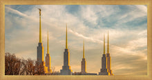 Load image into Gallery viewer, Washington DC Golden Hour