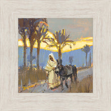 Load image into Gallery viewer, Donkey For Sale