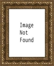 Load image into Gallery viewer, The Way