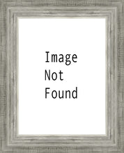 Load image into Gallery viewer, The Way