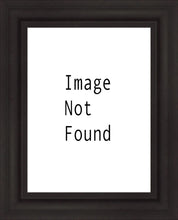 Load image into Gallery viewer, The Way