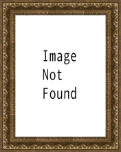Load image into Gallery viewer, The Way
