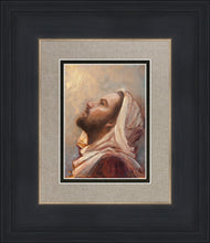 Load image into Gallery viewer, The Plea