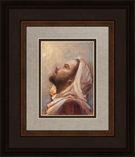 Load image into Gallery viewer, The Plea