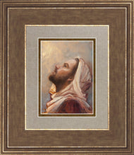 Load image into Gallery viewer, The Plea