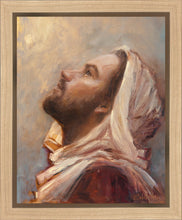 Load image into Gallery viewer, The Plea