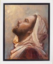 Load image into Gallery viewer, The Plea