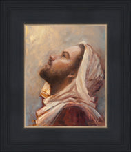 Load image into Gallery viewer, The Plea