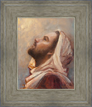 Load image into Gallery viewer, The Plea
